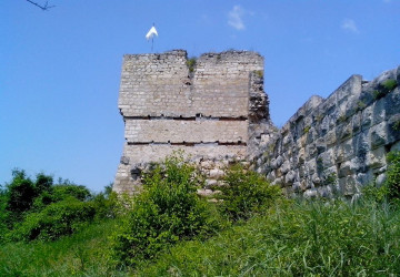 properties-7